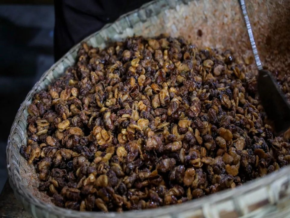 发现藏在深山老林里的美味,重庆隐藏在大街小巷的美食