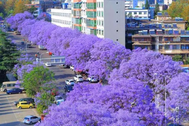 成都这座古城从不缺幻想和故事,四川藏着一个静谧古城
