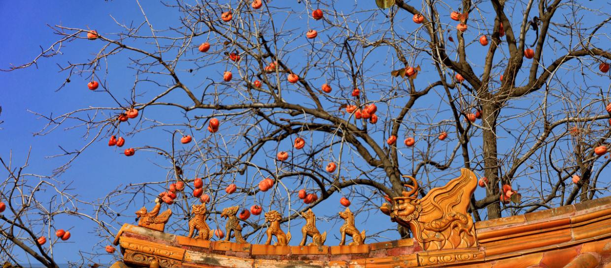 北京赏秋寺庙,北京三个景点