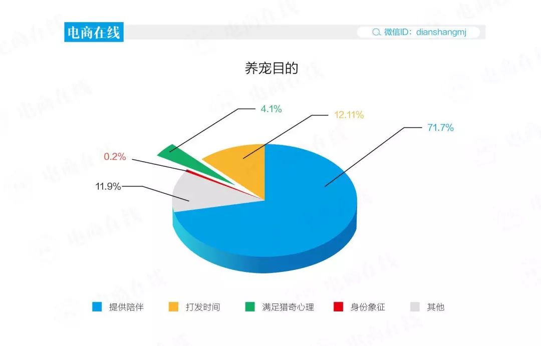 养猫花了1000万,两年时间养猫花了40万