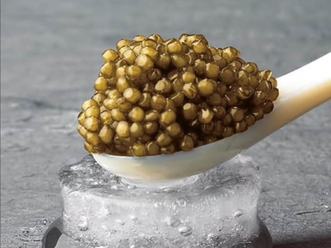 鱼子酱为什么被称为顶级高端美食,鱼子酱为什么是顶级食物