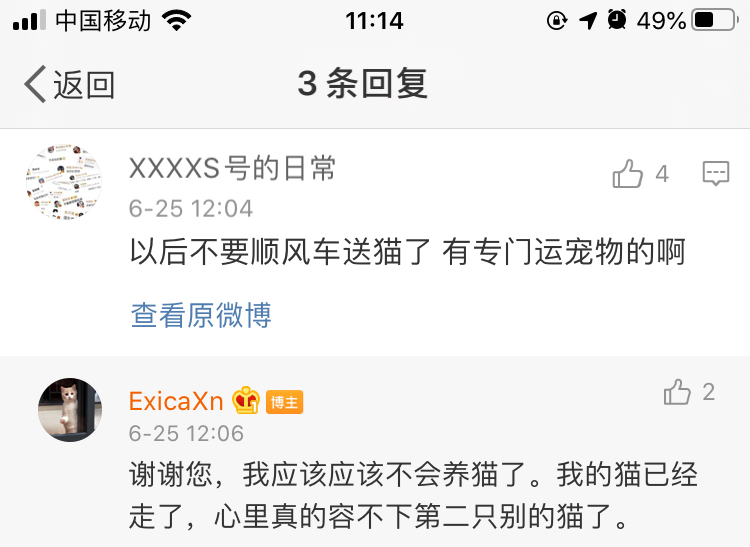 猫被关在笼子里烫死,猫被放到洗衣机闷死了