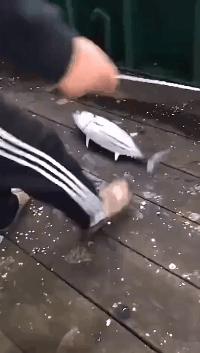 新娘开心的搞笑视频,搞笑gif开心一刻女司机上车