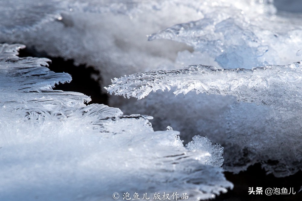 陕西秦岭发现的石头,捡石头下雪了后续