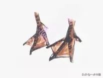 鹅画法可爱简单在陆地上行走,图文教程鹅写意画法