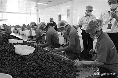 6000万人撑起的槟榔千亿产业,他把癌症卖给你,你还说它提神