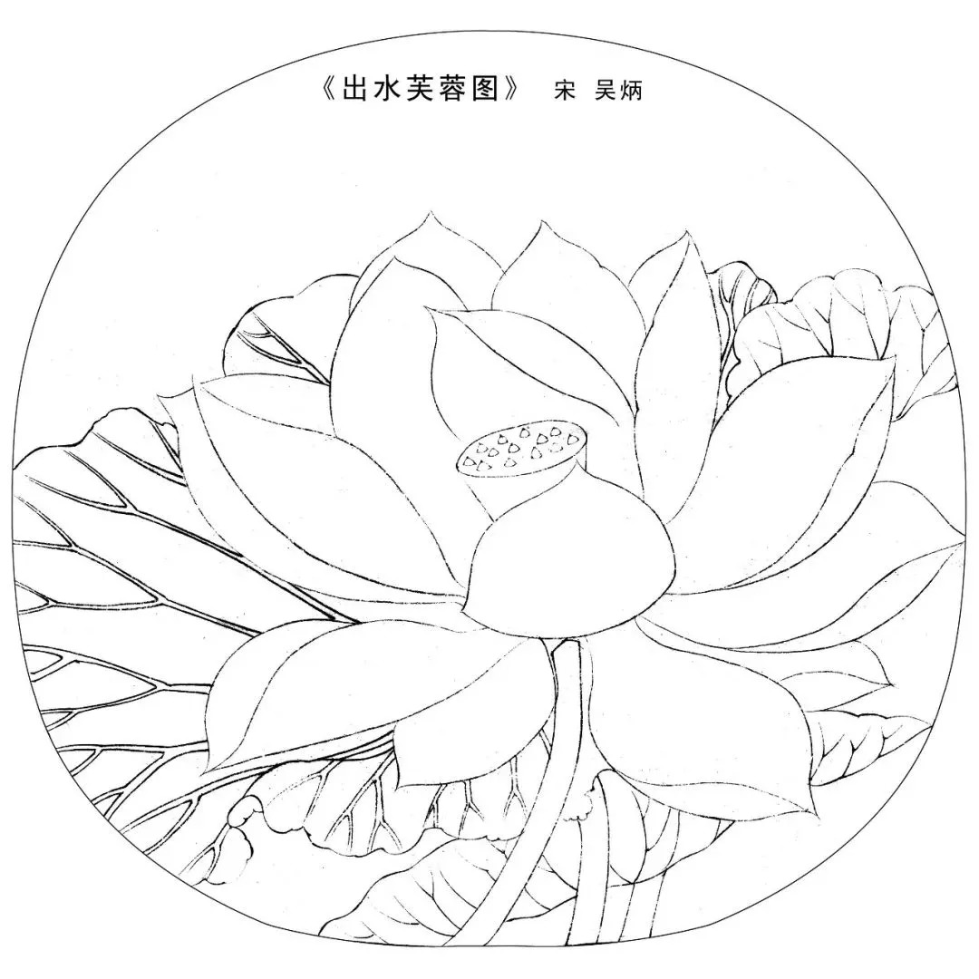 宋人工笔白描,宋人小品花鸟工笔白描高清图