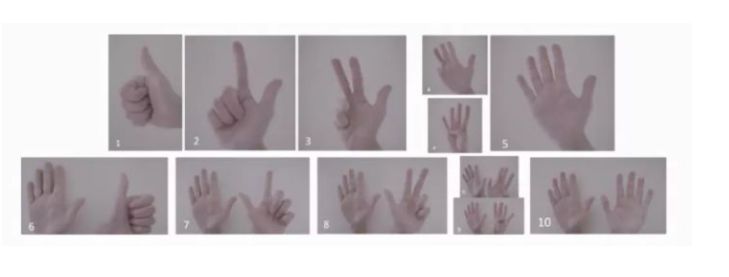 国外奇葩冷门知识,海外奇葩冷知识