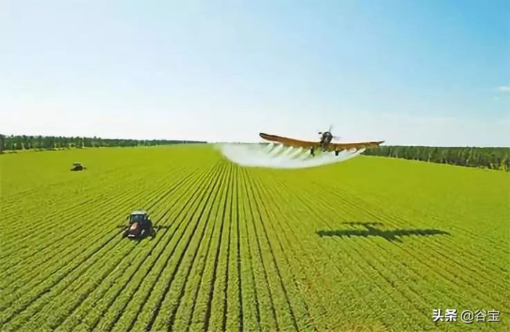 化肥为什么被称为“土地*片鸦**”?农民都好好看看吧