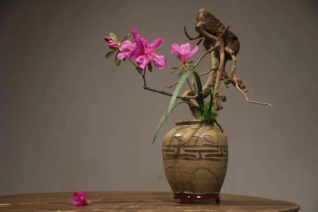 年年皆是,年年皆是如此什么意思