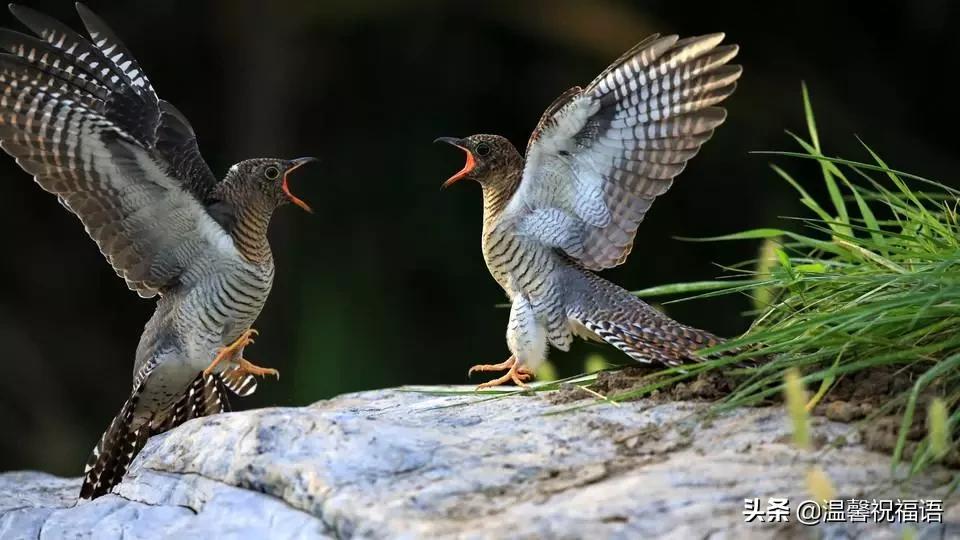 今天3月10，我的妈呀！谁编的，太好笑了，给群里乐一乐