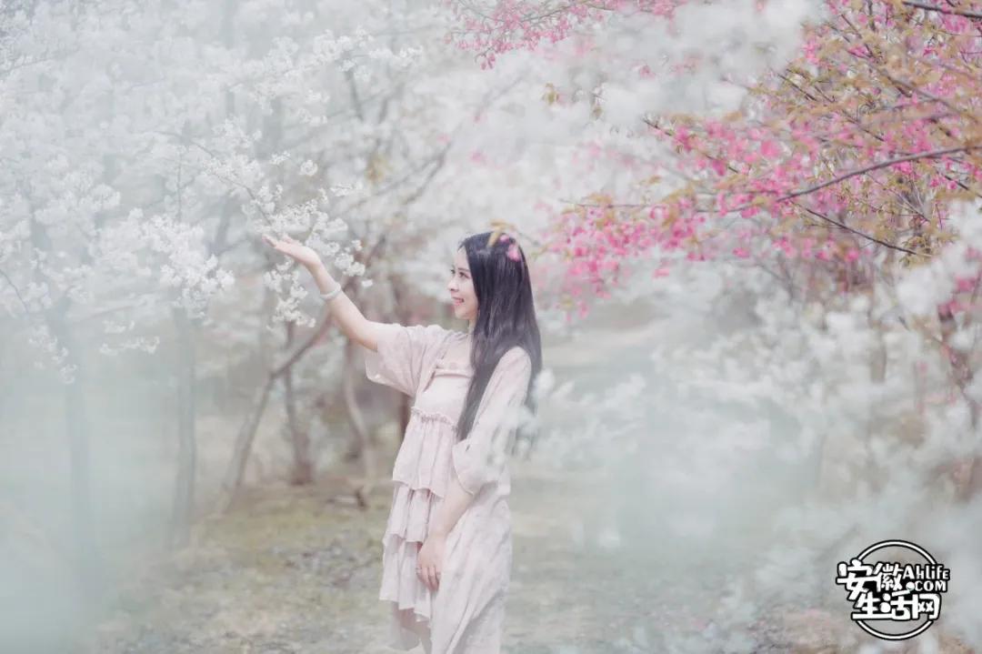 合肥最美的春天景点,合肥春天有哪些好玩的景点