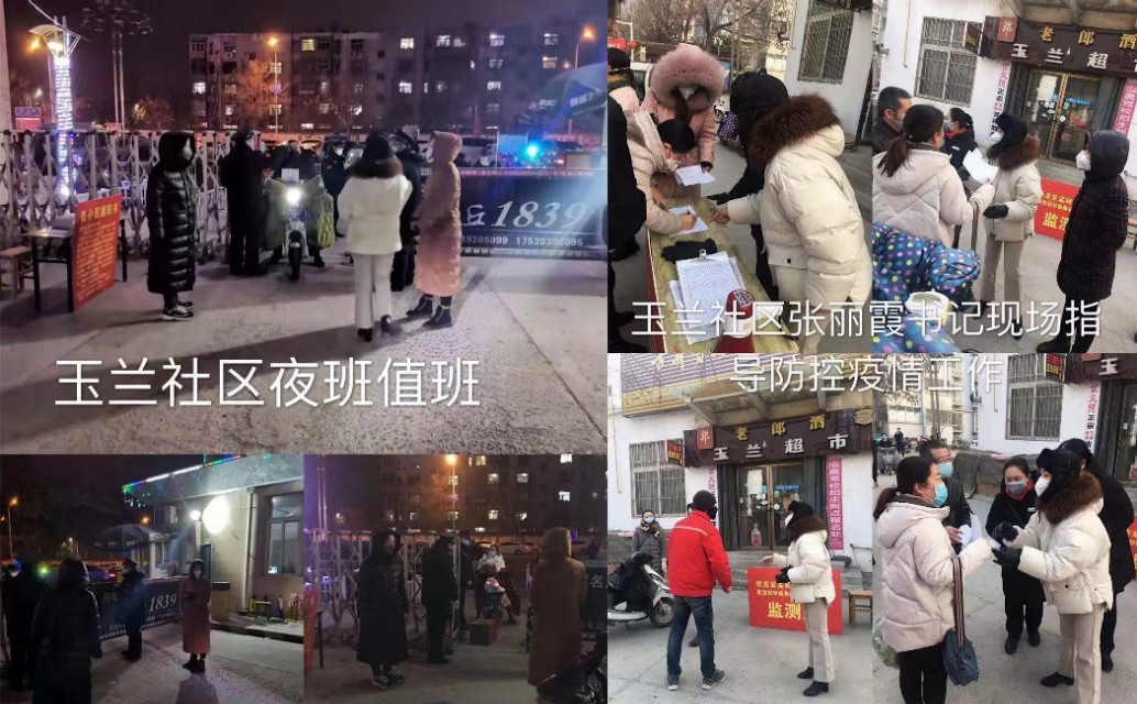 济南高新玉兰花园,玉兰花园很美