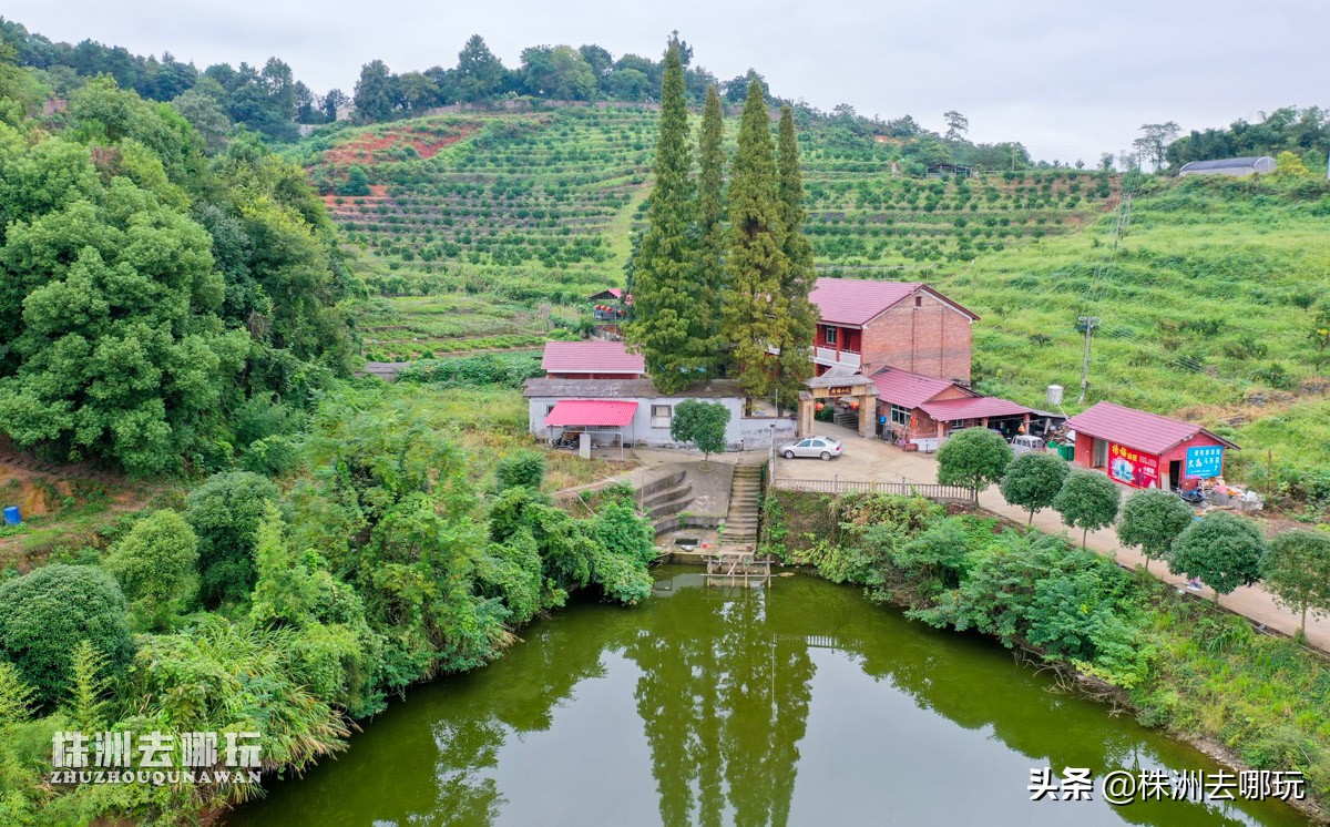 株洲哪里有好玩的度假山庄,株洲田园山庄