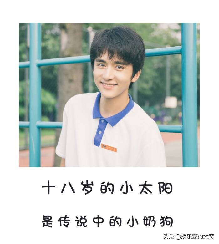 张新成为什么是艺考之神,张新成新戏光芒