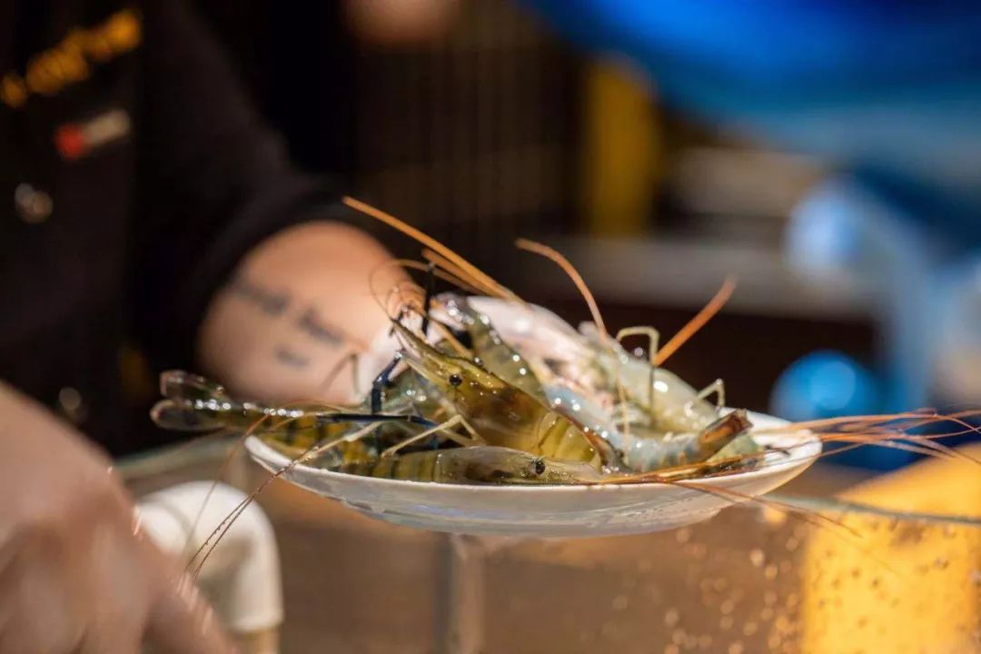 象拔蚌三文鱼鹅肝刺身拼盘,鹅肝苹果刺身