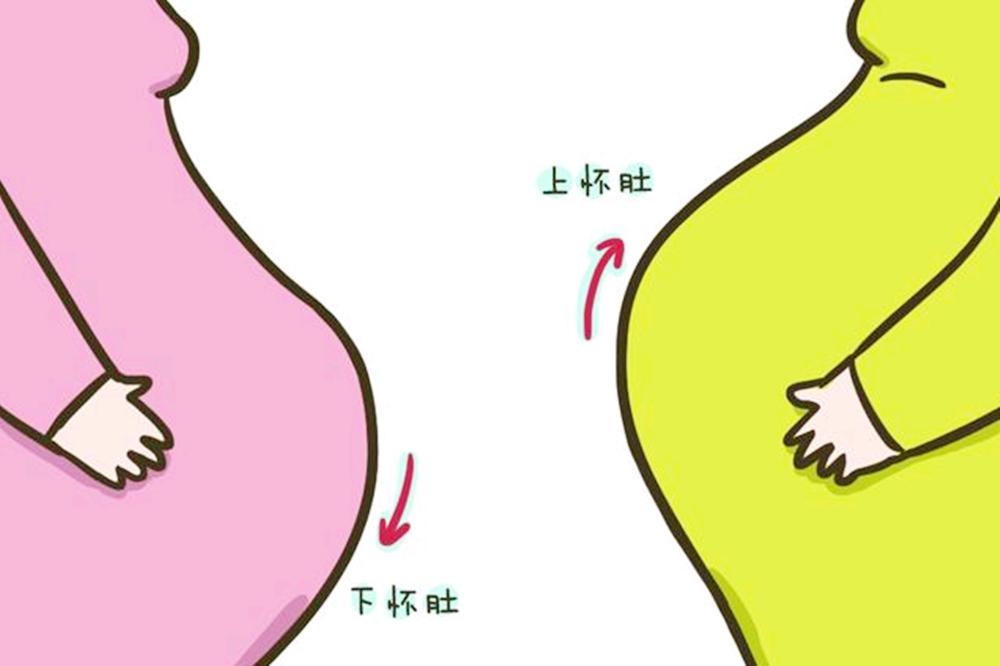 上怀下怀跟孕妈胖瘦有关系吗,孕妈胎动在下方是上怀还是下怀
