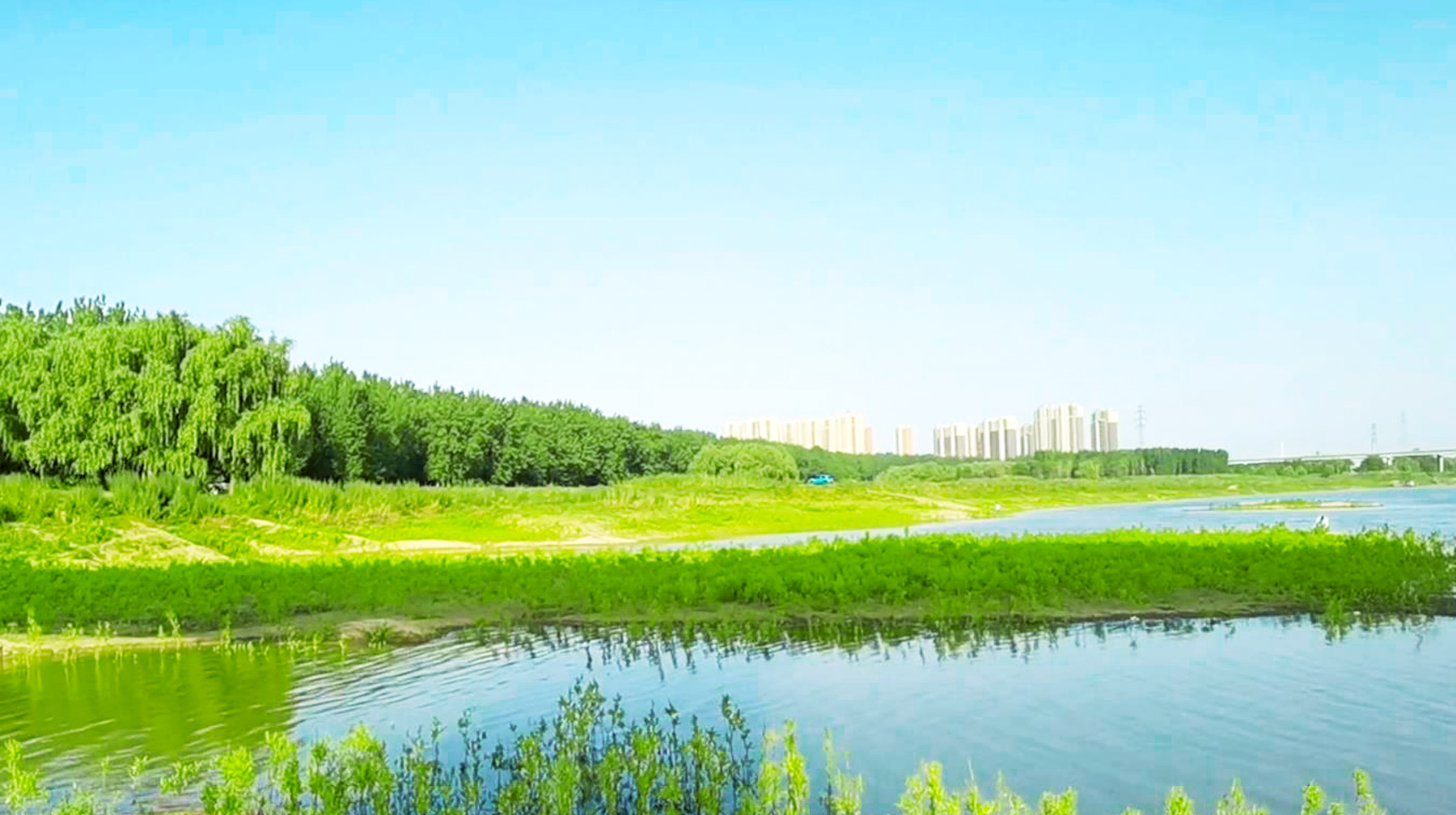 武汉长江江心惊现一条小路,武汉长江大桥下面江边