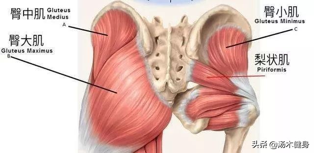 导致女性出现小腿粗肿的肌肉型小腿的三个原因及解决方法