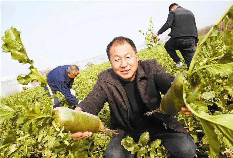 天津供暖最新通知来了,天津供暖最新消息今天