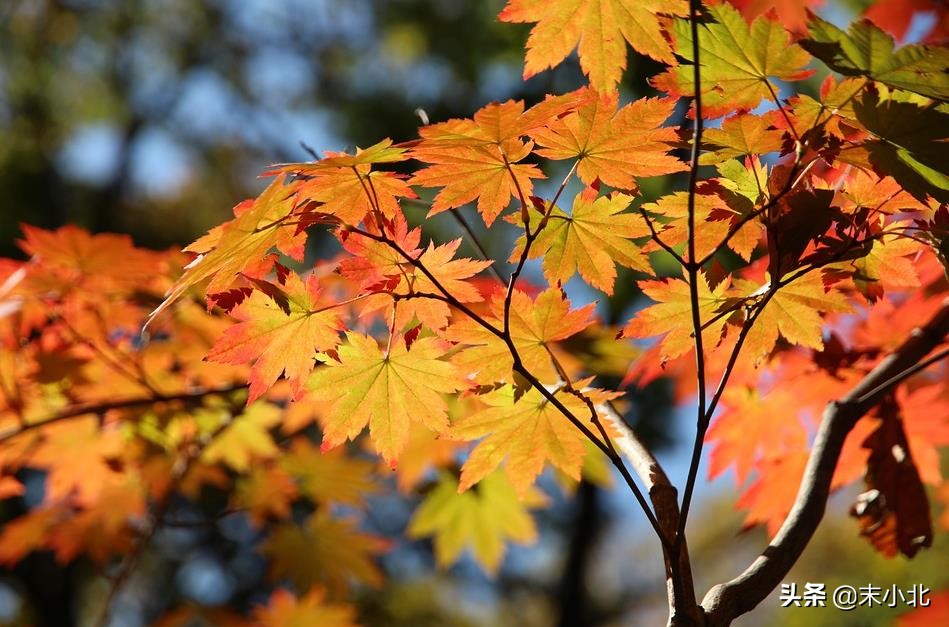 最体面的告别是说出来还是沉默,最体面的告别就是默默地离开