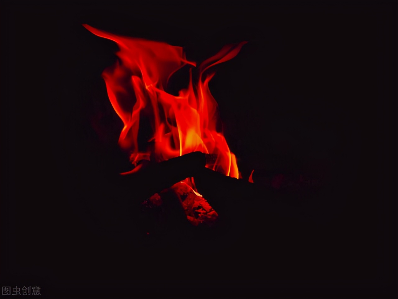 王小波的黄金时代中的经典句子,王小波的黄金时代经典句子