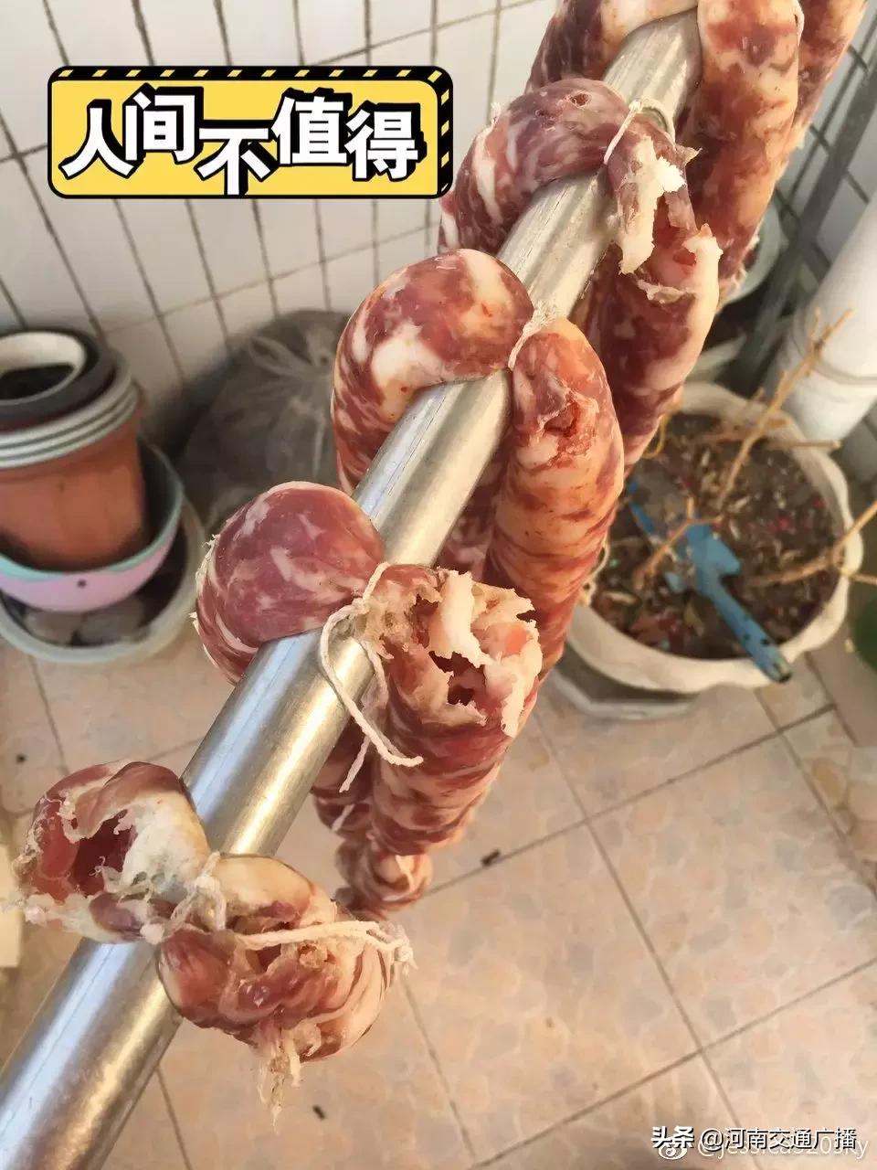 鸟儿偷吃香肠腊肉,香肠腊肉挂外面被鸟吃