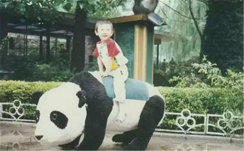 四十年前石家庄街景视频,石家庄40年