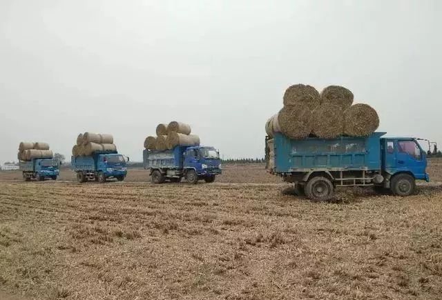 拖拉机冬季防冻措施,冬季拖拉机怎么维护