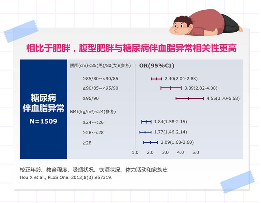 肥胖与腹型肥胖的健康指导,胖纸的优势