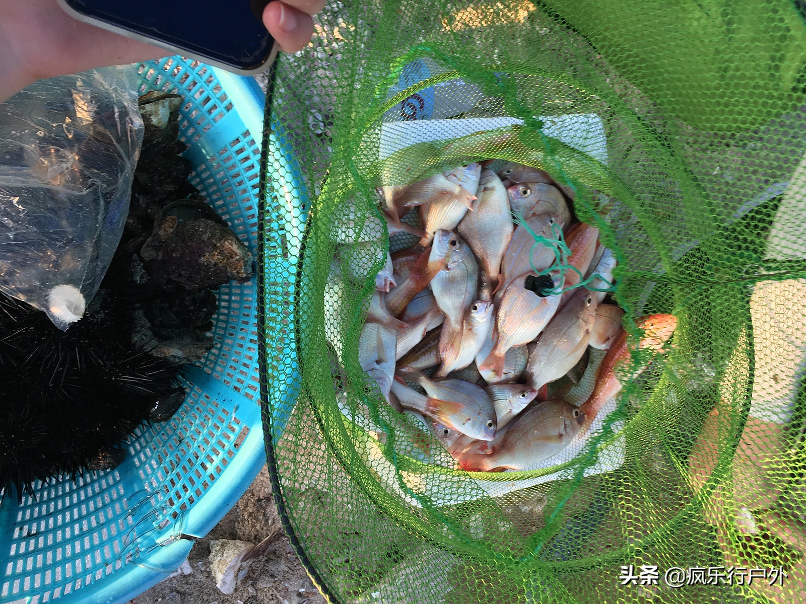 惠州赶海无人岛,国内冷门海岛无人岛推荐