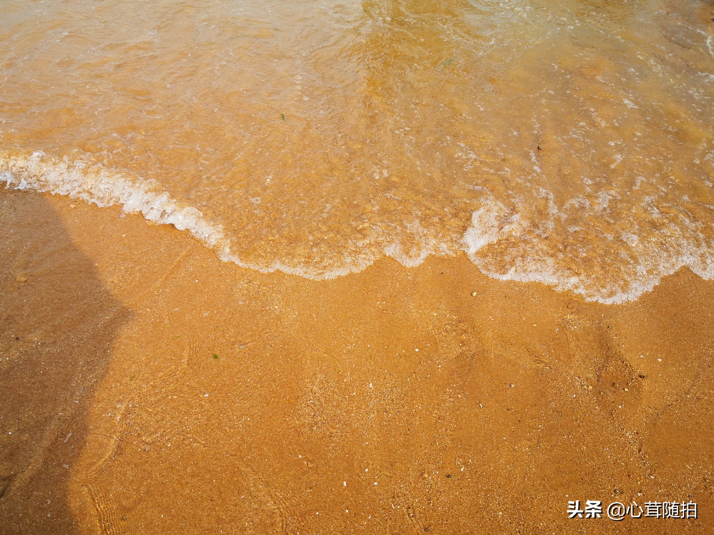 青岛市的金沙滩,金沙滩海边生活