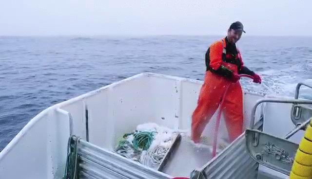 邦美辰蛋白肽官方旗舰店,邦美辰胶原蛋白肽蔓越莓