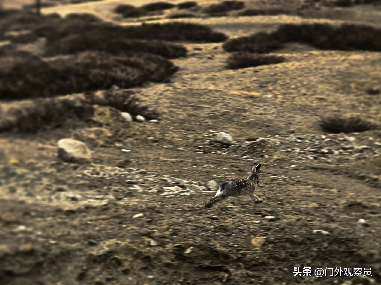 为什么到西藏一定要去阿里,不去拉萨能到那曲吗