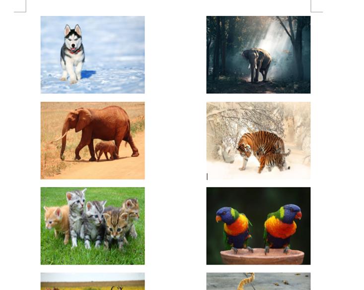 word表格调整图片大小按f4无效,wordf4重复上一步在哪里设置