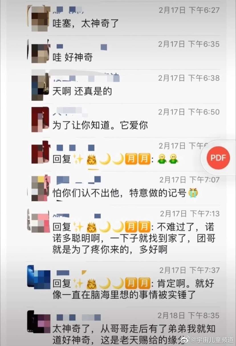 狗狗胎记和孩子一样,狗狗有胎记孩子也有胎记