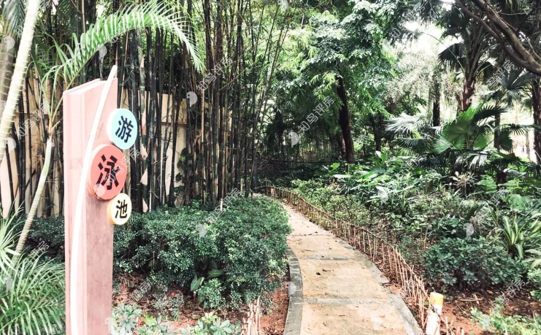 长安霄边中惠新城,东莞长安中惠新城