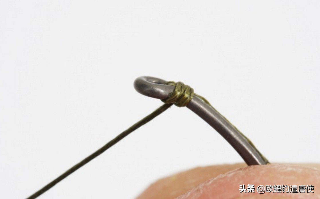 话说欧鲤钓组全集,欧鲤钓组可以钓哪些鱼