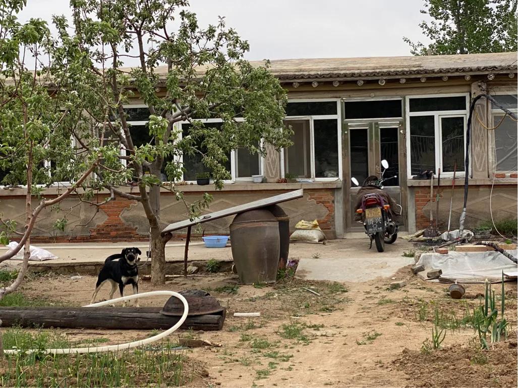 【7/5】30、走进北镇庙后朱屯我家老院