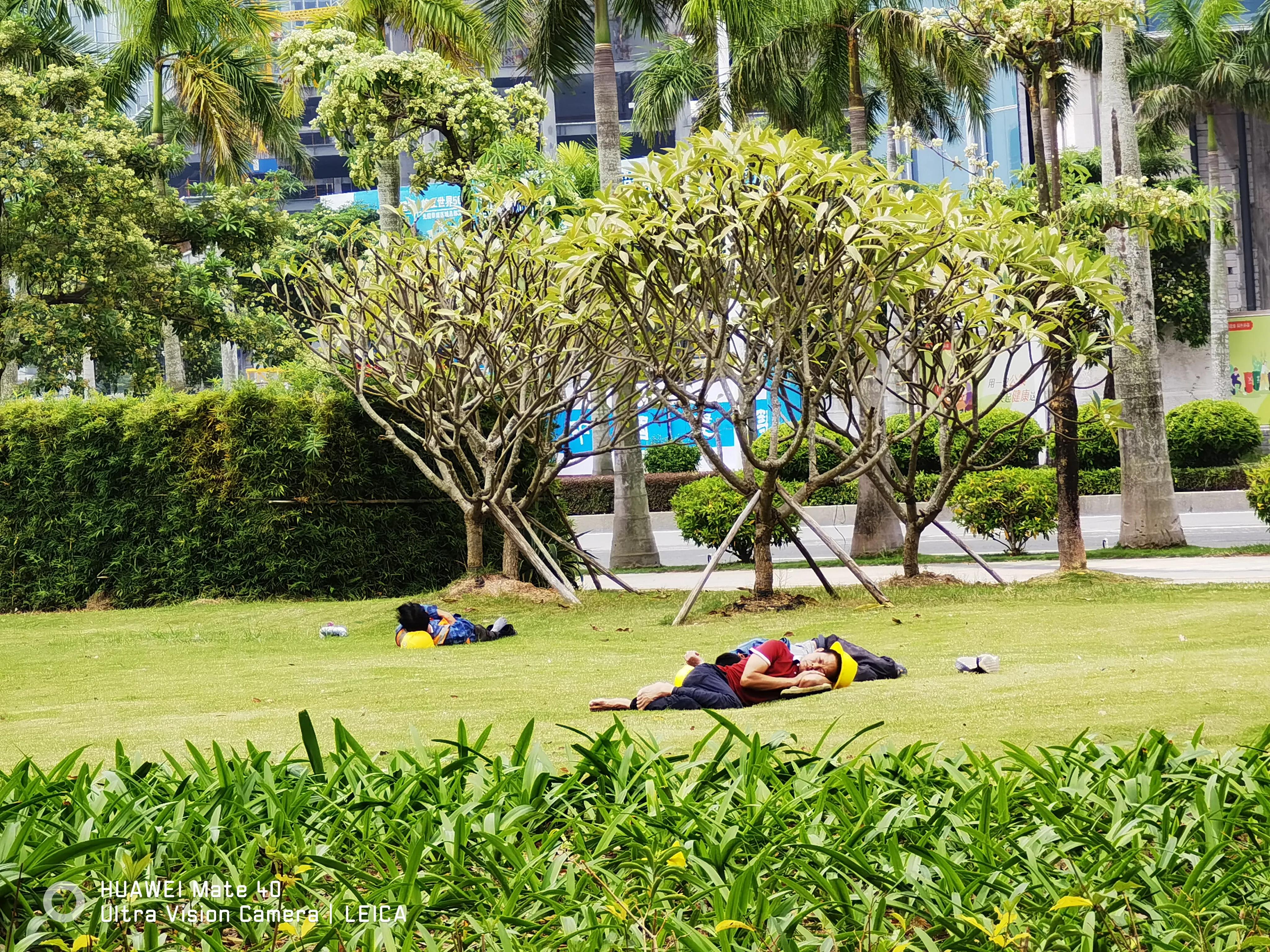 横琴未来可期预测,横琴未来