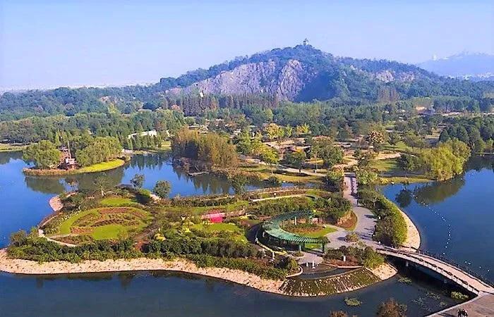 上海适合亲子游的景点和地方推荐,暑假上海亲子游必去景点