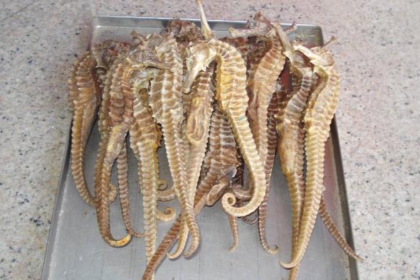 出国购物不能入境的几样东西，水果上榜，最后一样意想不到