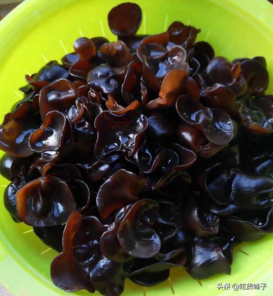 炒木耳总是噼里啪啦炸锅,炒木耳为什么会噼里啪啦的炸锅