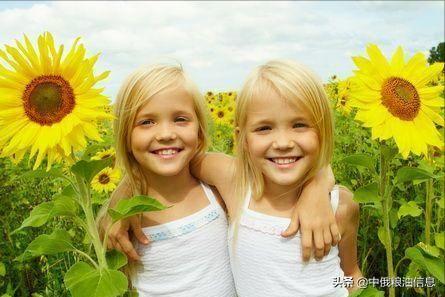 俄罗斯顿河葵花籽油,葵花籽油菜籽油俄罗斯