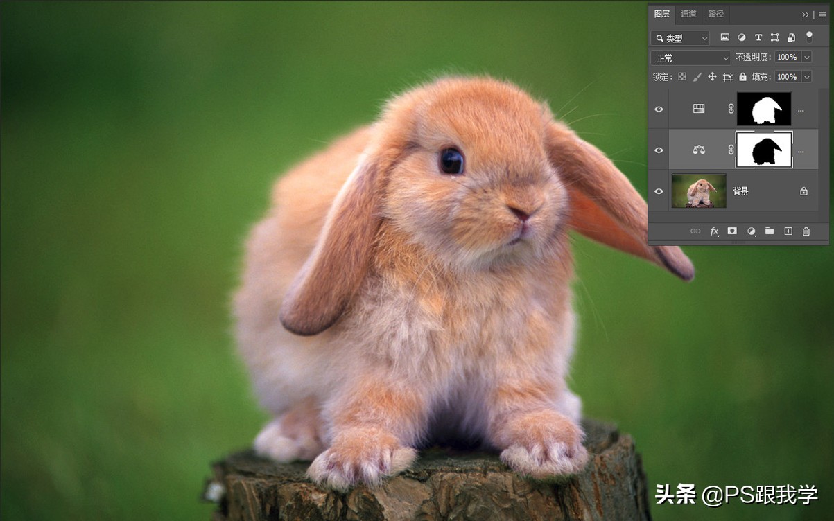 ps魔棒工具选区羽化,ps羽化选区攻略