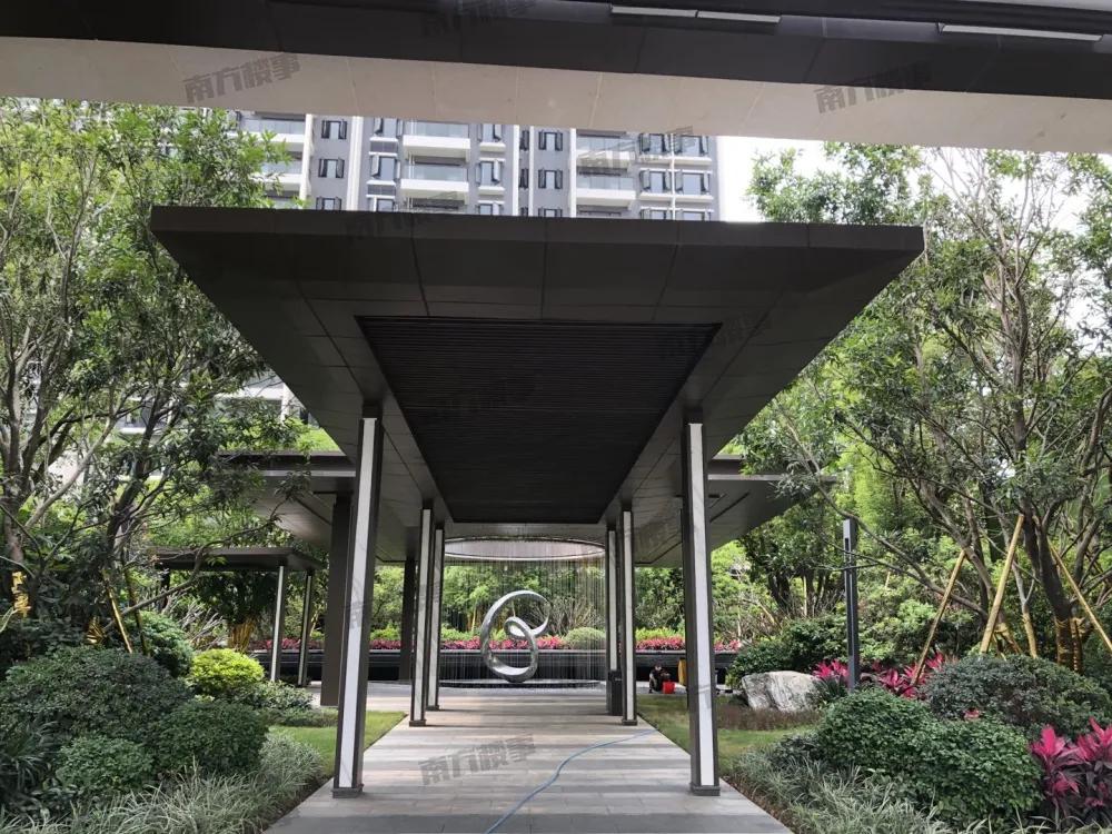 全程暴走！实探疯传的扩容临深区域凤岗+塘厦，到底值不值得买？