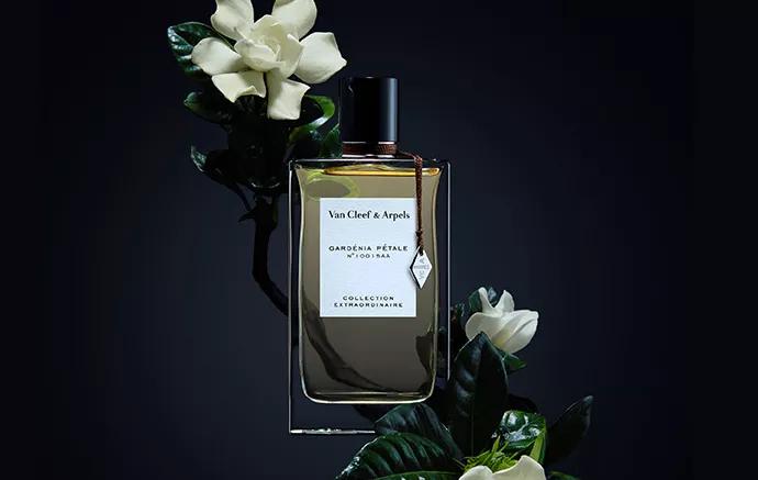 香水和古龙水有什么区别,浓缩淡香水和古龙水的区别在哪里