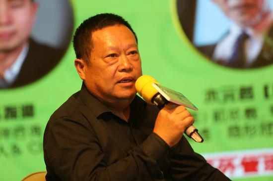 益阳电容器巨头,益阳电容器大王