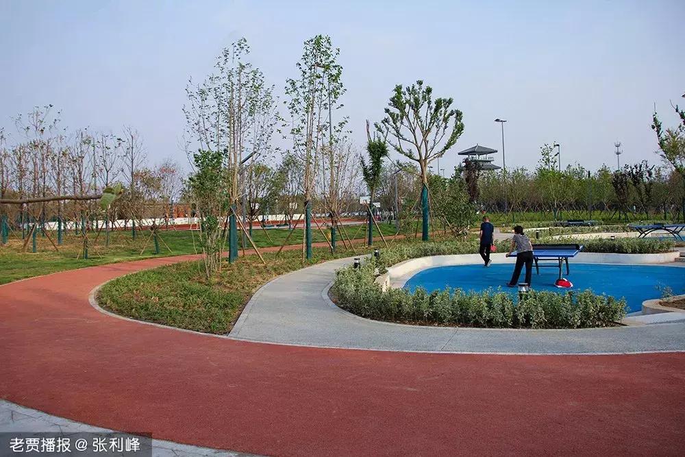 哪个公园好玩又免费又滑滑梯,半圆滑梯攀岩公园