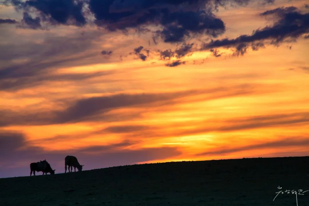 那拉提草原旅游徒步攻略,如何游玩那拉提